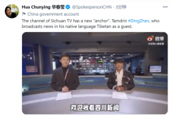 <b>華春瑩連發(fā)三推為丁真打call【活動板房】</b>